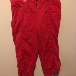 Plus size capris size 22